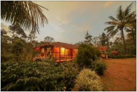  Unwind and relax at the coffee estates of Coorg, Karnataka