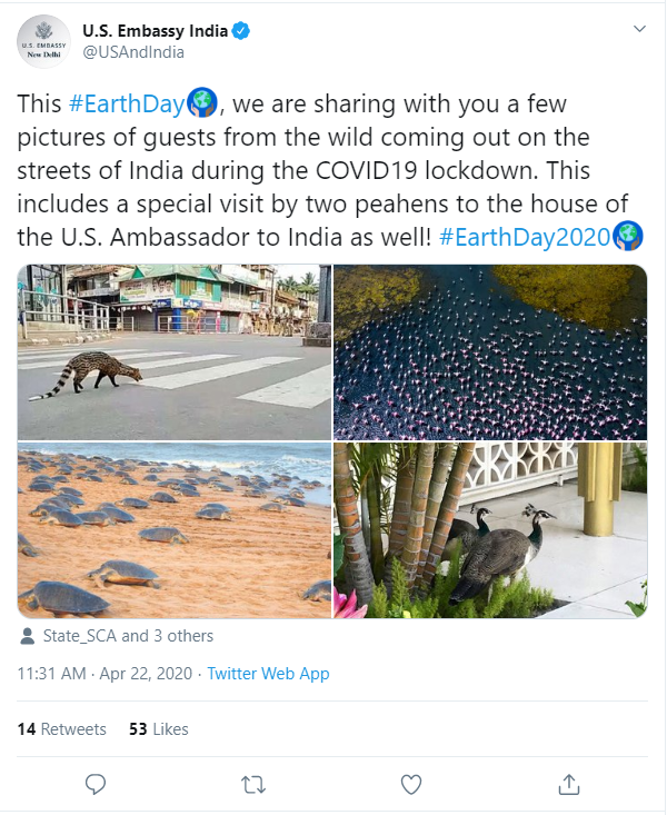 Twitter propels the conversations on environment this 50th Earth Day