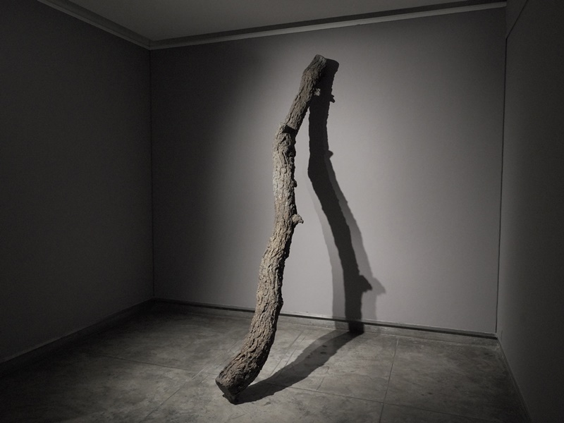 The constant phoenix -- GR Iranna