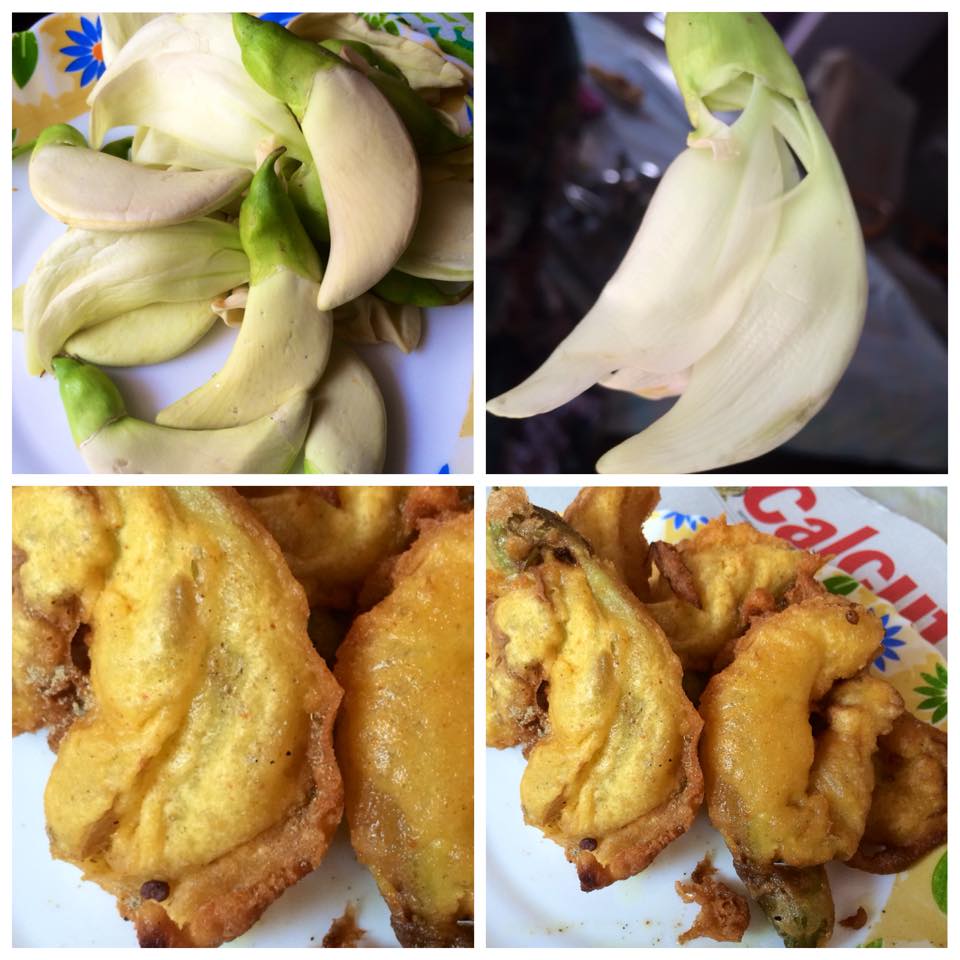 Bauk Phool (Agati Flower) Bhaja