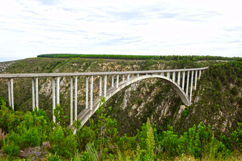 Bloukrans Bridge