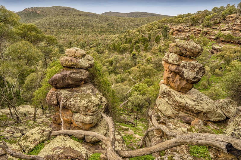 Scenic views across Cocoparra National Park, within a half-hour drive of Griffith.