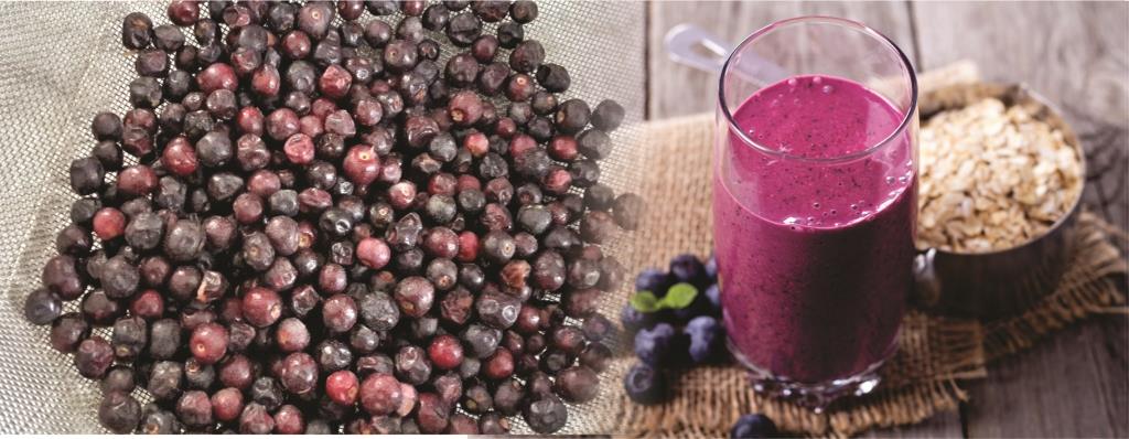  COOL & REFRESHING FALSA SHERBET