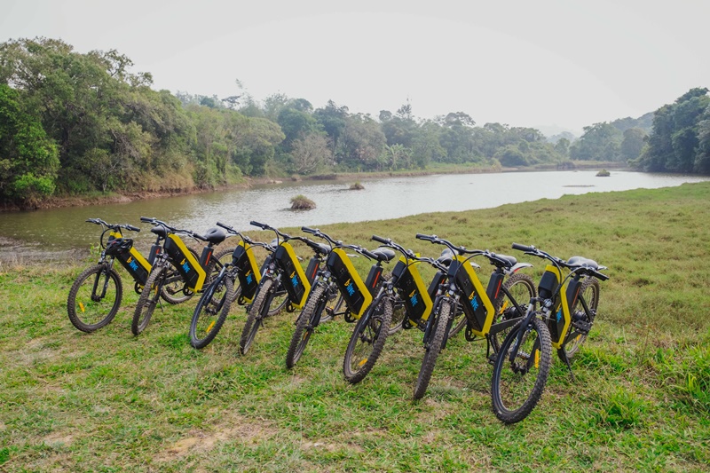 Bike Your Way Through Nature Trails (Source: Daniel D'Souza/Airbnb)