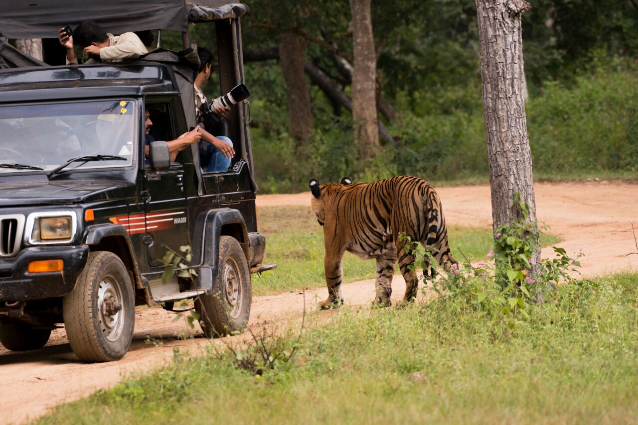 Dressing appropriately during a safari is crucial to enjoying it