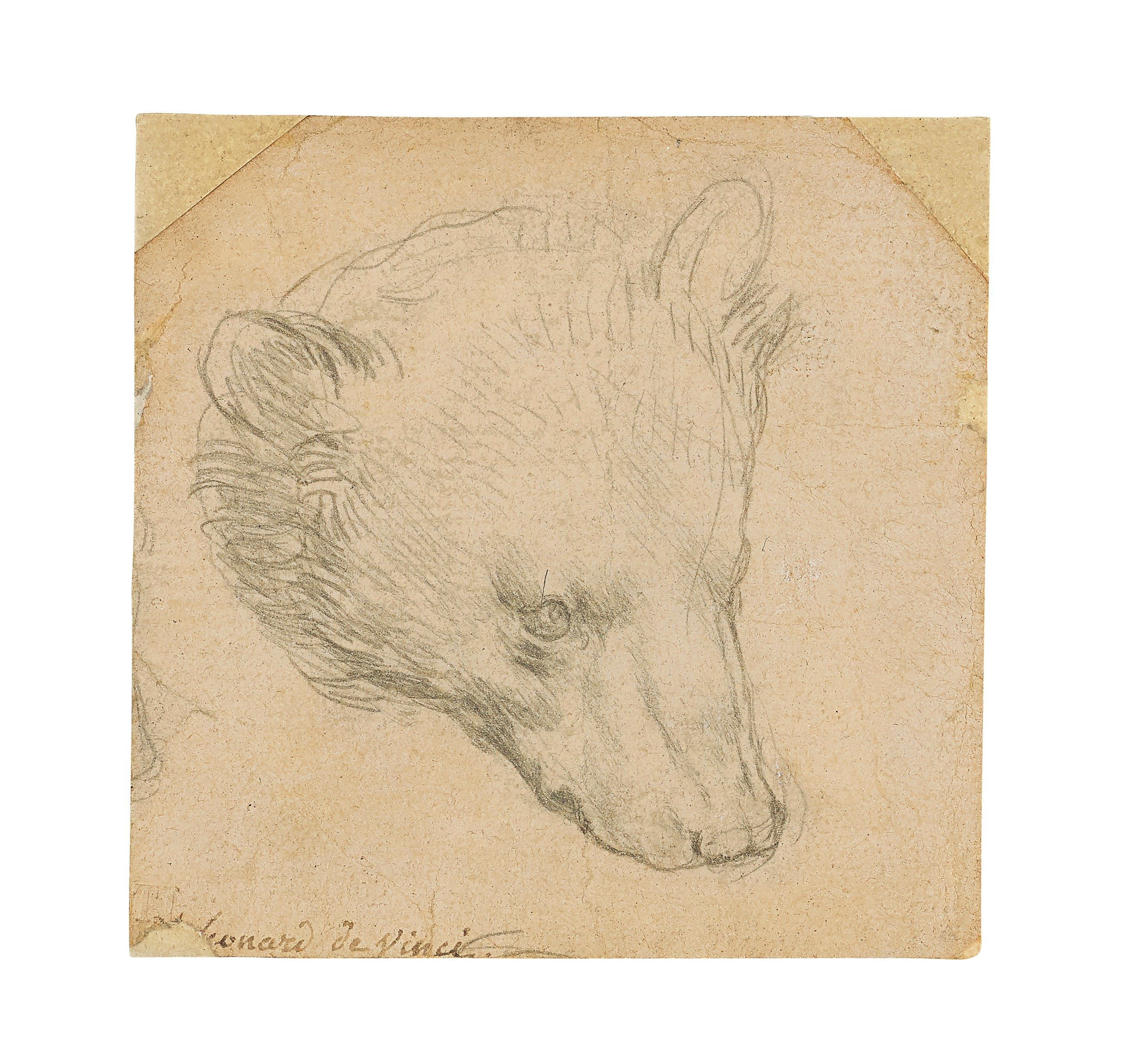 'Head of a Bear'; Source: Christie's