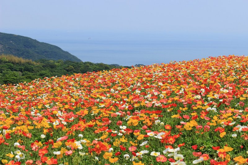 Become one with nature in Japan’s wellness island, Awaji
