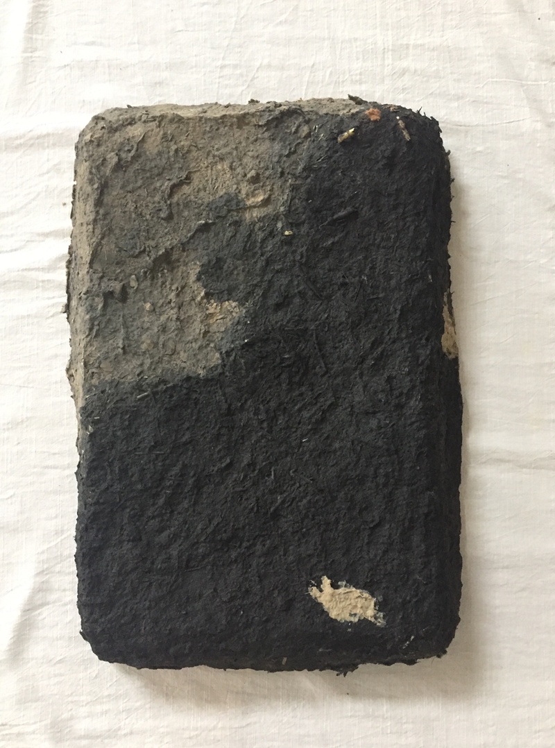 Artist Shambhavi's work which will be displayed at her solo exhibition 'Burukuwa Dwan' at Shrine Empire in Delhi from January 25 to February 24.