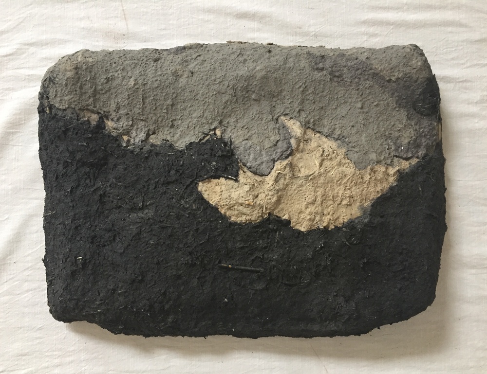 Artist Shambhavi's work which will be displayed at her solo exhibition 'Burukuwa Dwan' at Shrine Empire in Delhi from January 25 to February 24.