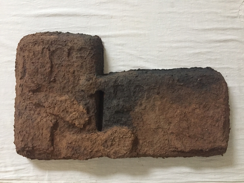 Artist Shambhavi's work which will be displayed at her solo exhibition 'Burukuwa Dwan' at Shrine Empire in Delhi from January 25 to February 24.