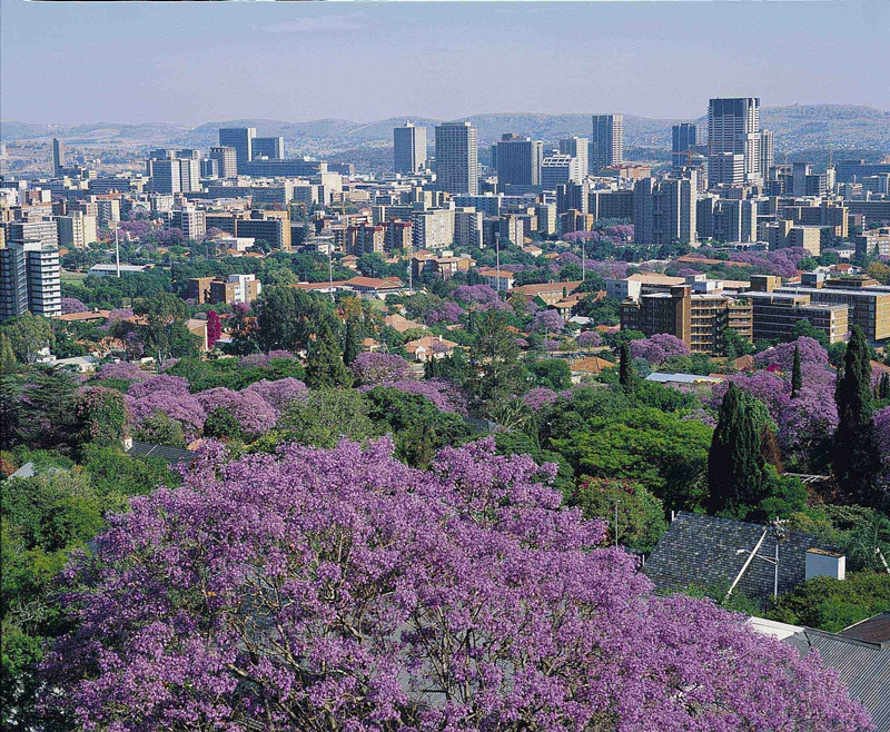Jacaranda City, Tshwane, Pretoria