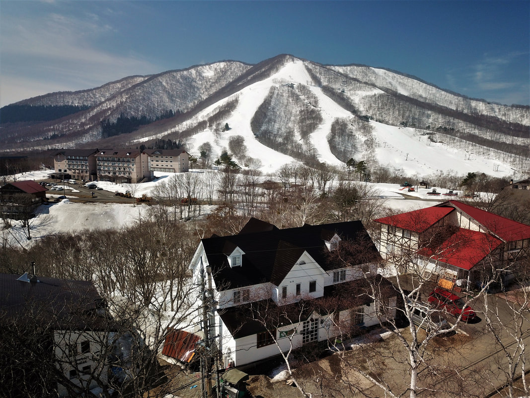 Hit the slopes at panoramic skiing spots in Japan