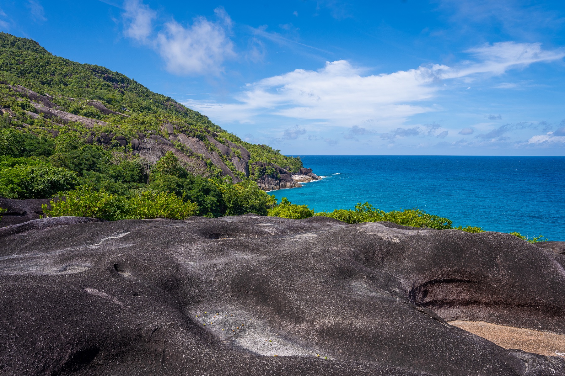 Nature trail to Anse Major - image courtesy Michel Denousse