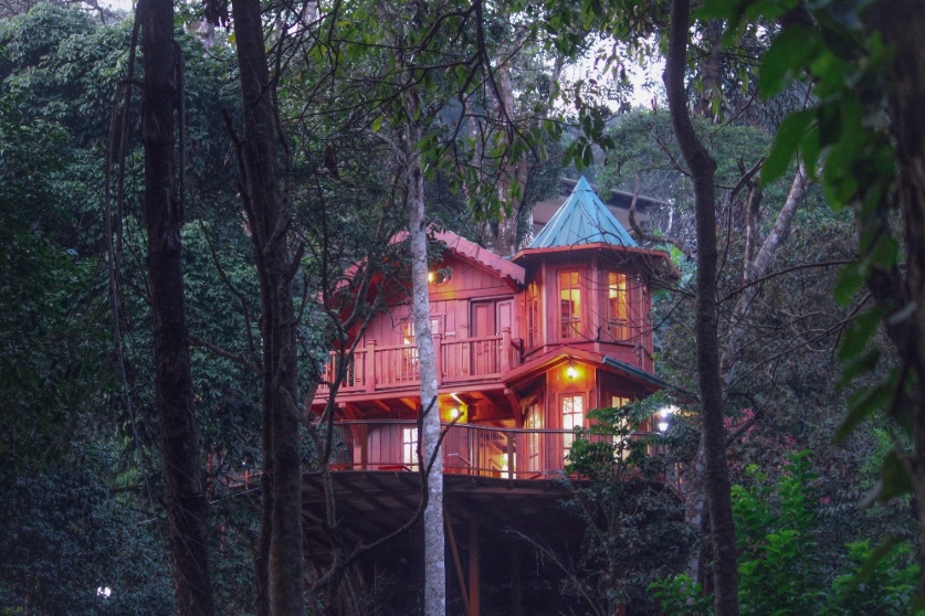 NATURE’S RETREAT IN A TREEHOUSE  