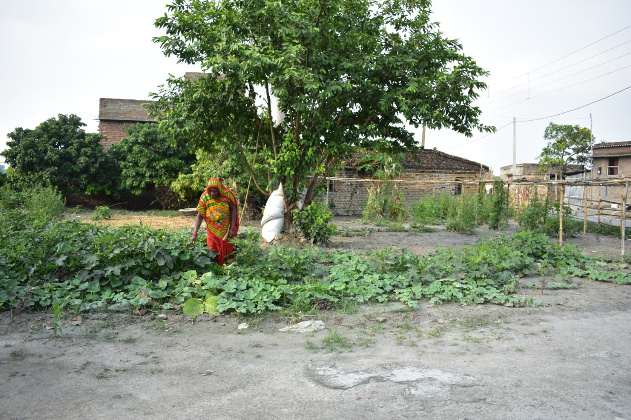 Nutrigarden, Bihar