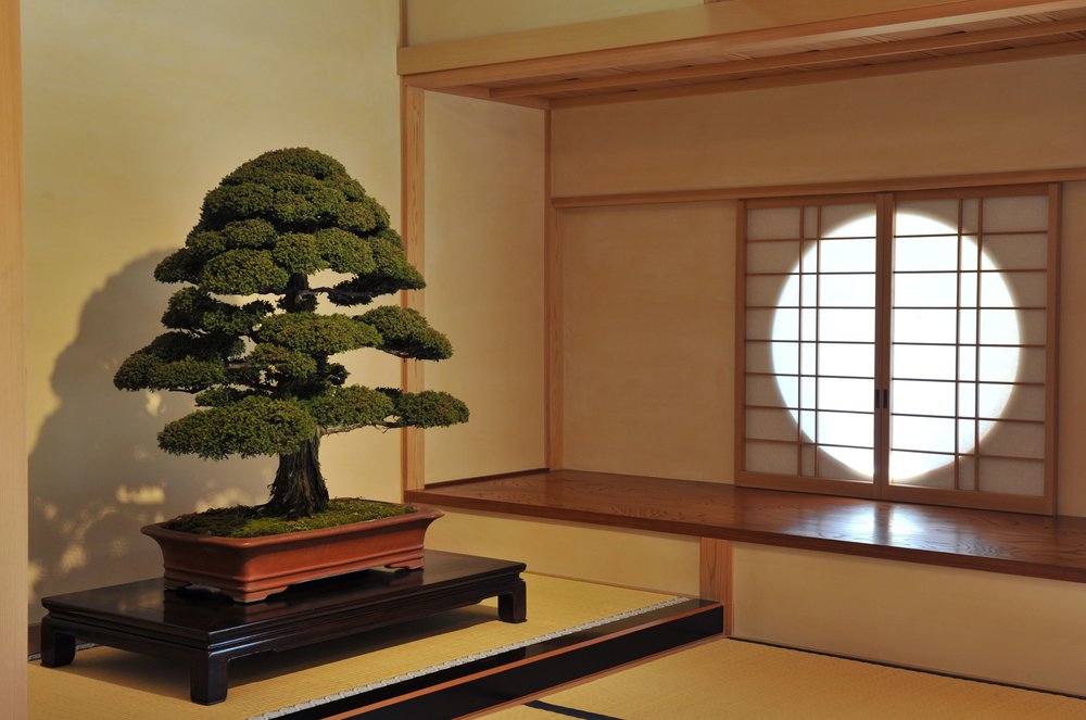 Omiya Bonsai Art Museum