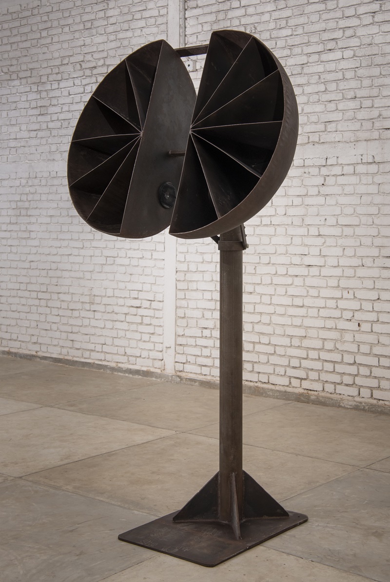 Reena Kallat - Chorus - Solo Show Blind Spots