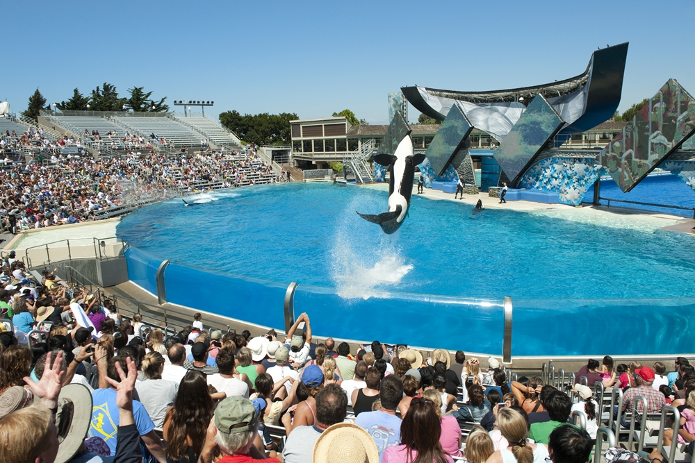 Seaworld, San Diego
