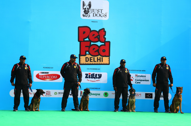 Security Dog Show