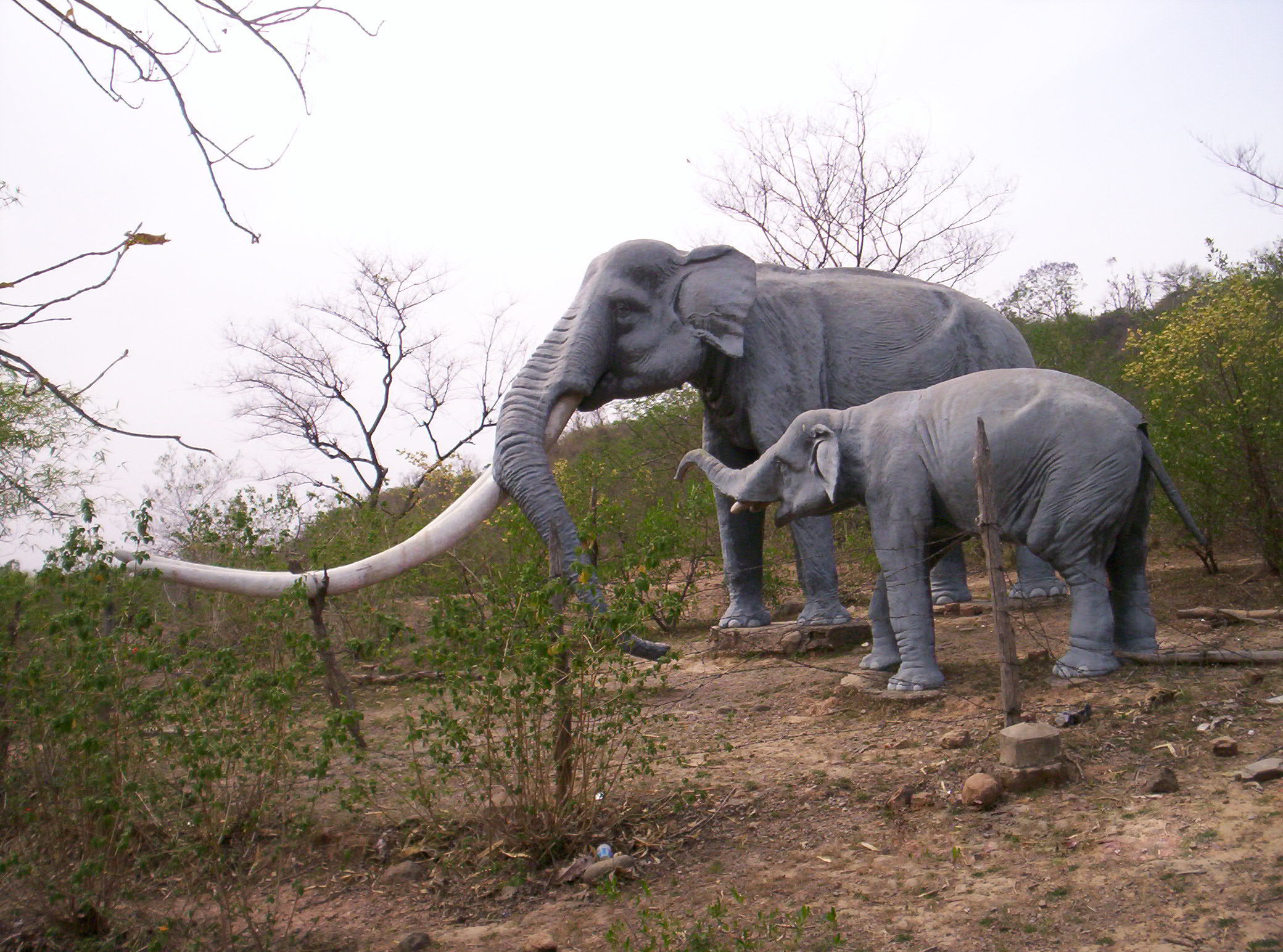 Siwalik Fossil Park (Photo: Wikipedia)
