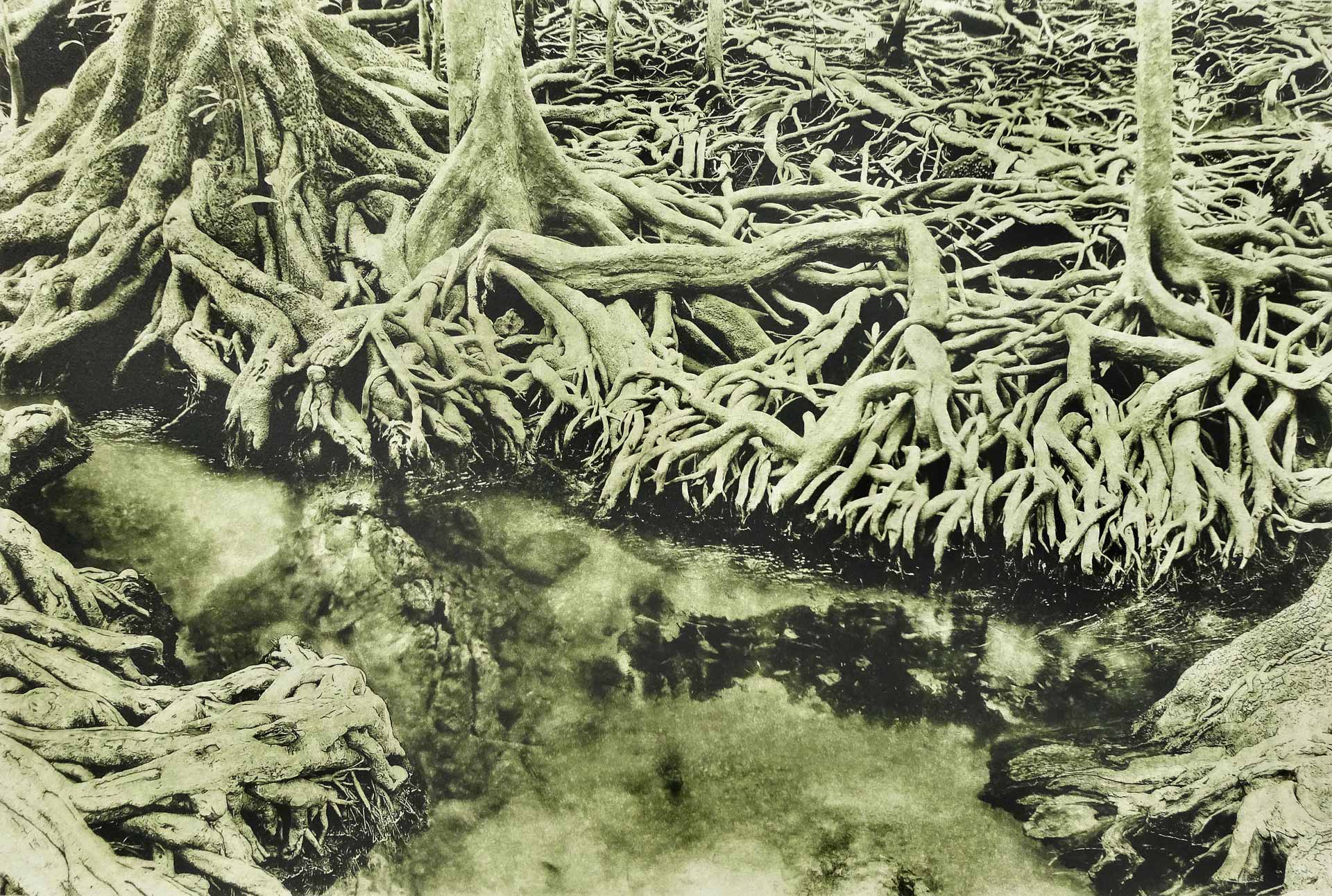 Sonia Mehra Chawla, Scapelands III, 2015, Photopolymer Gravure (etching) on somerset archival paper, 300 GSM