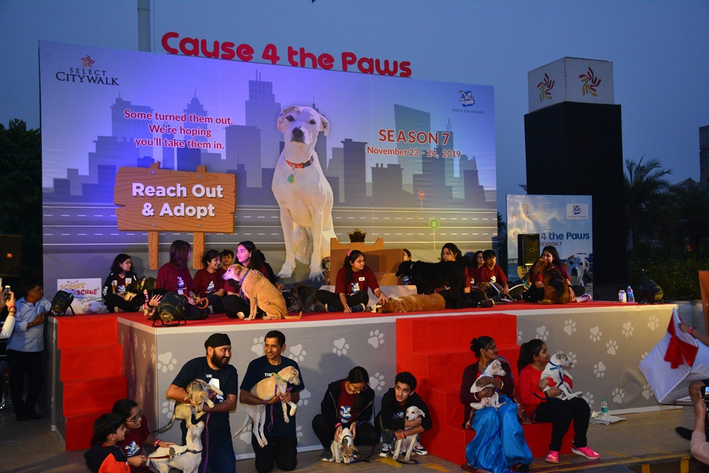 Nothing fashionable about animal cruelty: Ambika Shukla