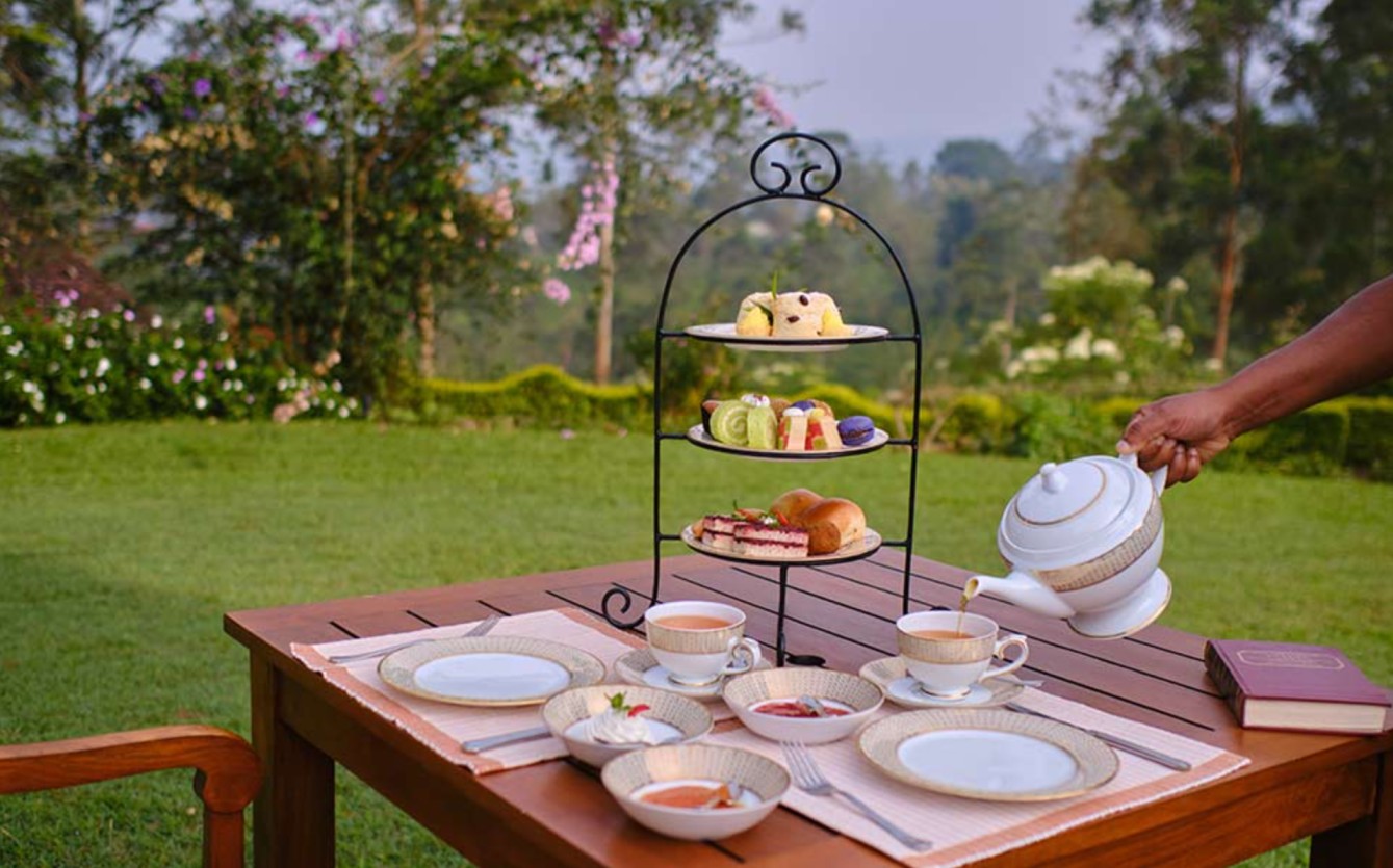 Tea Tasting at Ceylon Tea Trails