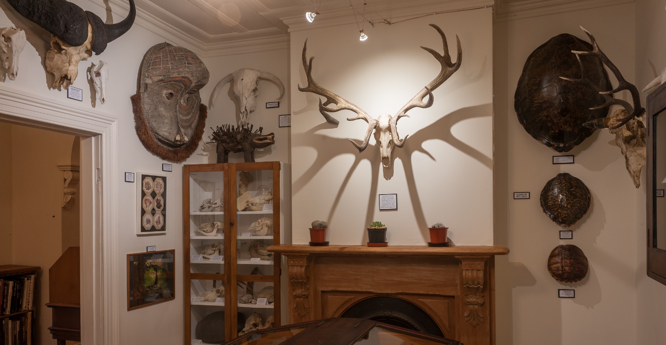 The Museum of Natural Mystery is built into Bruce Mahalski’s home. Credits- Alan Dove