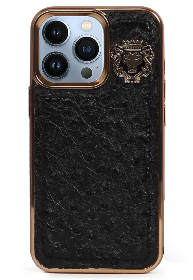 Premium iPhone 13 Cases by Brune and Bareskin