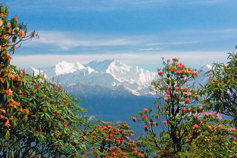 Varsey - Sikkim