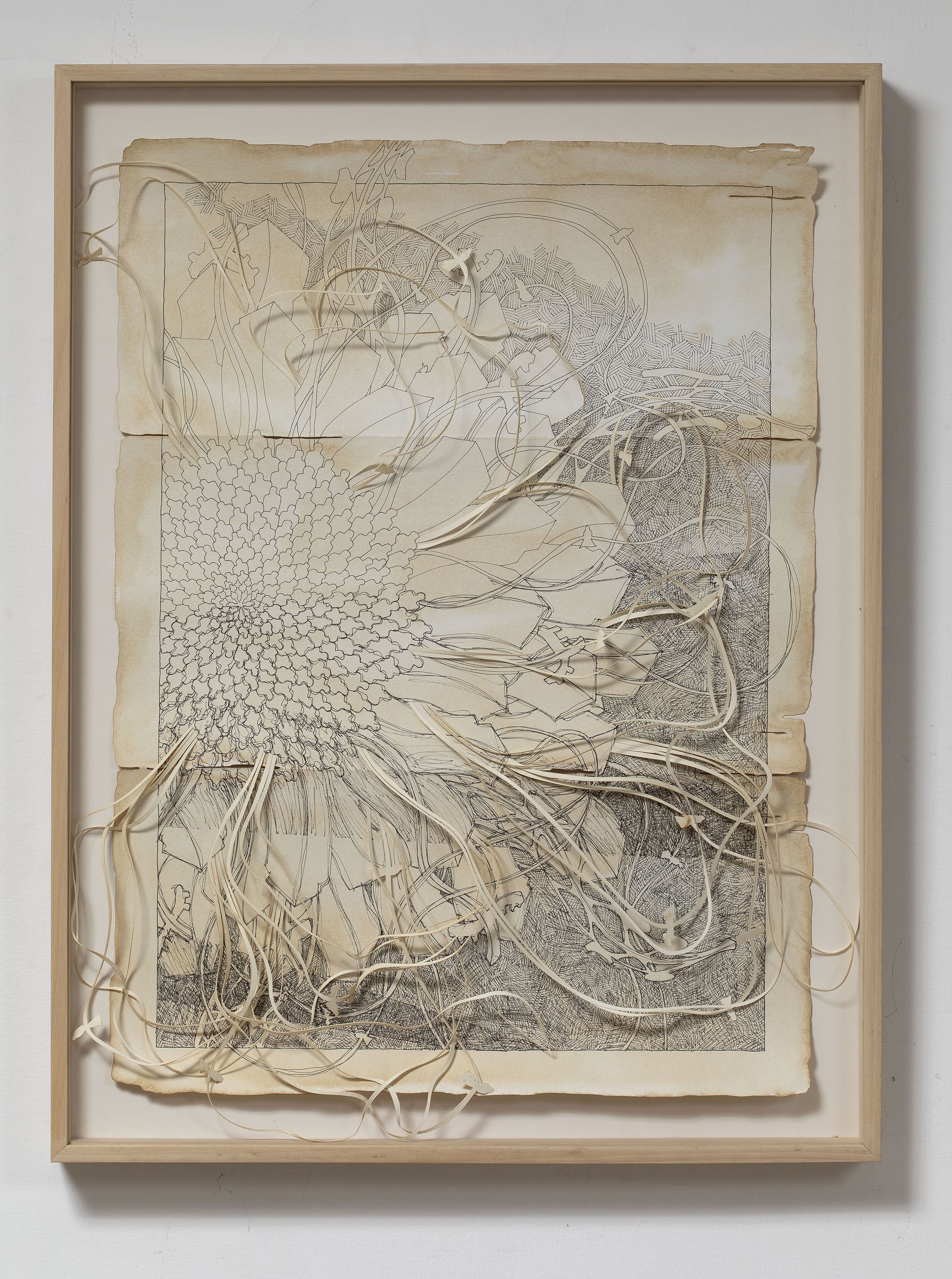 ‘Once, there was a seed’ to germinate at Vadehra