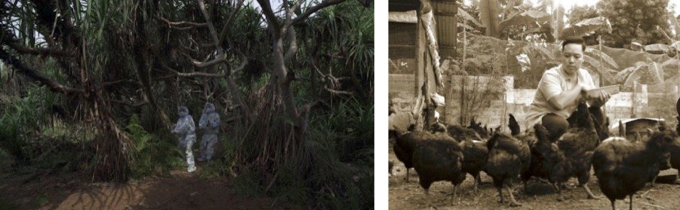 Four Songs of Apocalypse, 2021 by Paribartana Mohanty, and Stories from a Forgotten War by Parvathi Nayar & Nayantara Nayar