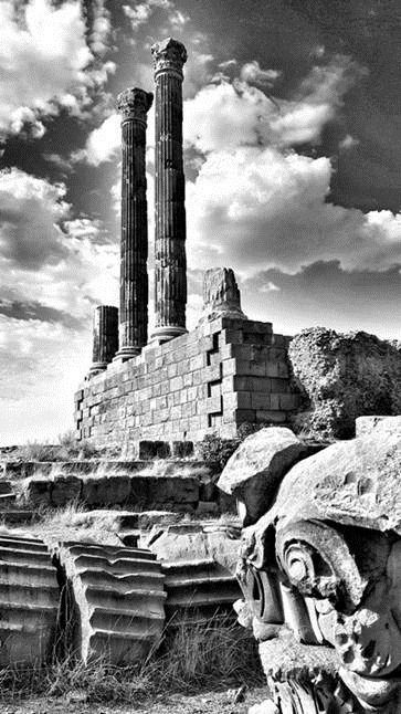 Artist  : William Dalrymple Title   : Untitled Medium  : Digital print on photorag bright white paper