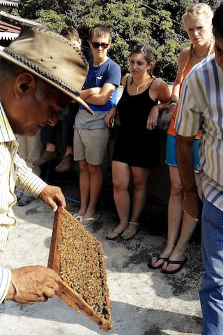 Learn Honey Beekeeping in Himalayas – Bhimtal