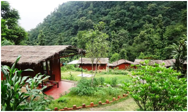 Rejuvenate at the Eco Yoga Retreat, Rishikesh, Uttarakhand