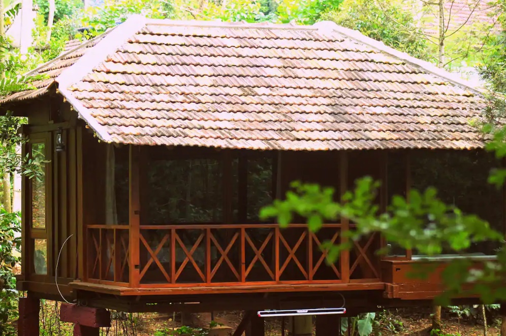 The Granary: Wooden Cabin on stilts, Coorg