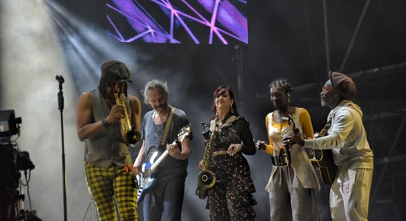 Brooklyn Funk Essentials