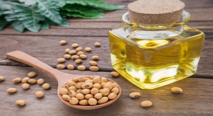 Widely consumed soybean oil not only leads to obesity and diabetes but may also affect neurological conditions like autism, Alzheimer's disease, anxiety and depression, report researchers from University of California Riverside, including one of Indian origin.