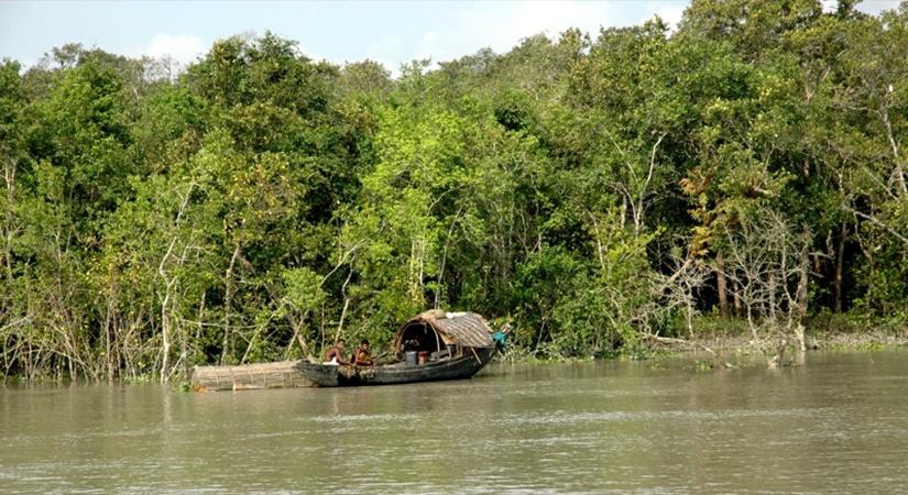 Sundarbans. (Photo: wiki)