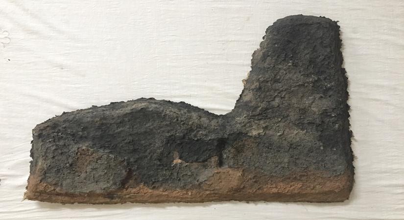 Artist Shambhavi's work which will be displayed at her solo exhibition 'Burukuwa Dwan' at Shrine Empire in Delhi from January 25 to February 24.