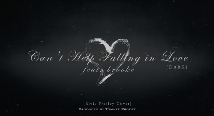 A tribute of the king of Rock & Roll: Elvis Presley