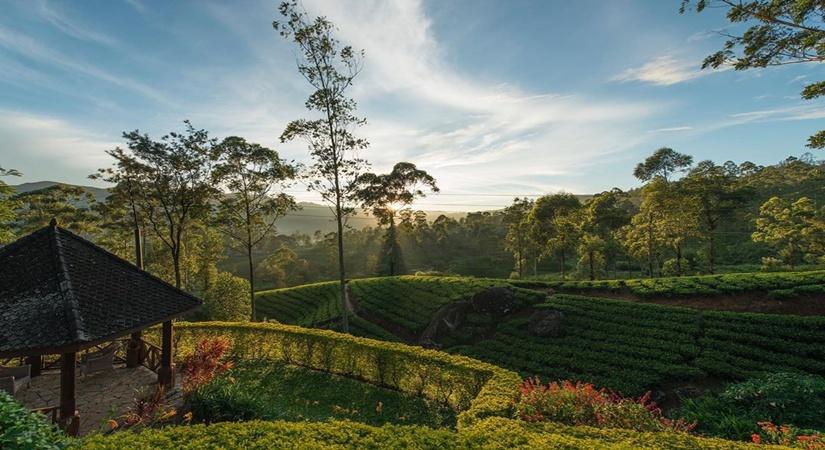 Ceylon Tea Trails (Photo: Resplendent Ceylon/Instagram)