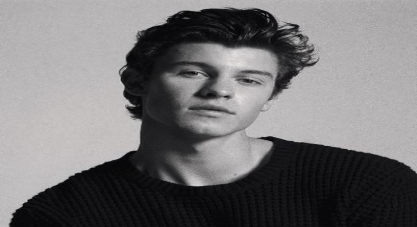 Shawn Mendes. (Photo: Twitter/@ShawnMendes)