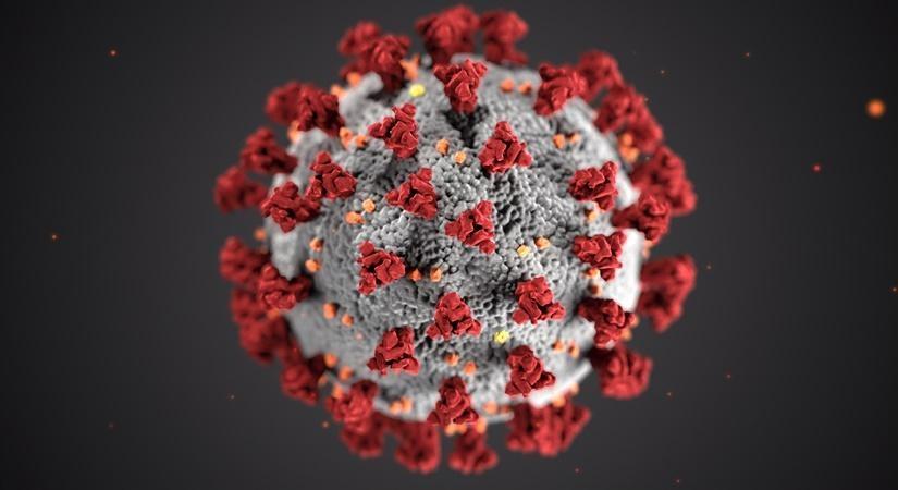 Actor Keith Lawrence Middlebrook, who appeared in "Iron Man 2" and TV hit "Entourage" has been arrested by FBI agents for reportedly attempting to sell a fake coronavirus cure.