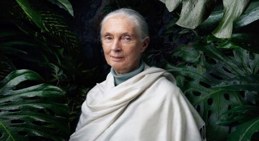 (Photo: janegoodallinst/Instagram)