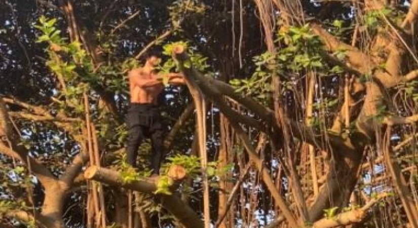Vidyut Jammwal climbs tree.