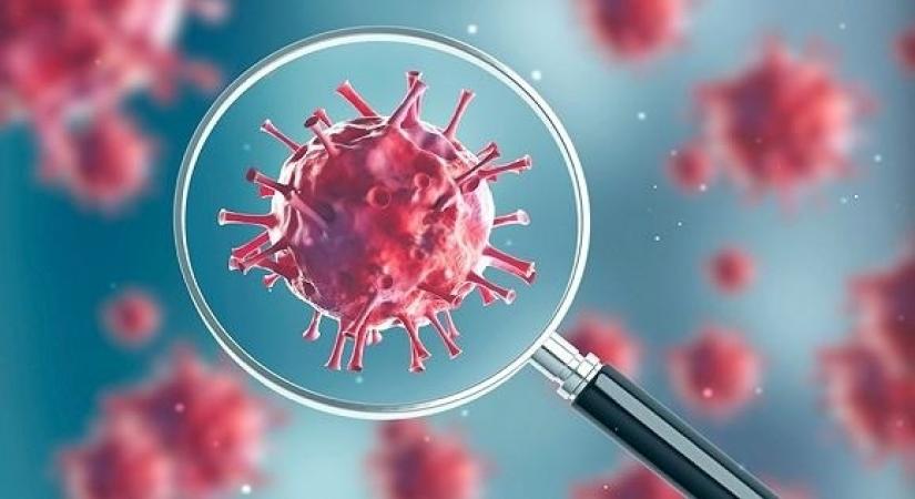 New Delhi, April 6 (IANS) In a bid to help fight against the new coronavirus pandemic (COVID-19), health experts have shared some tips for disinfecting your office to stop the spread of the virus.