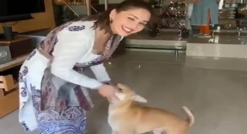 Madhuri, Preity shower love on furry friends on National Pet Day.