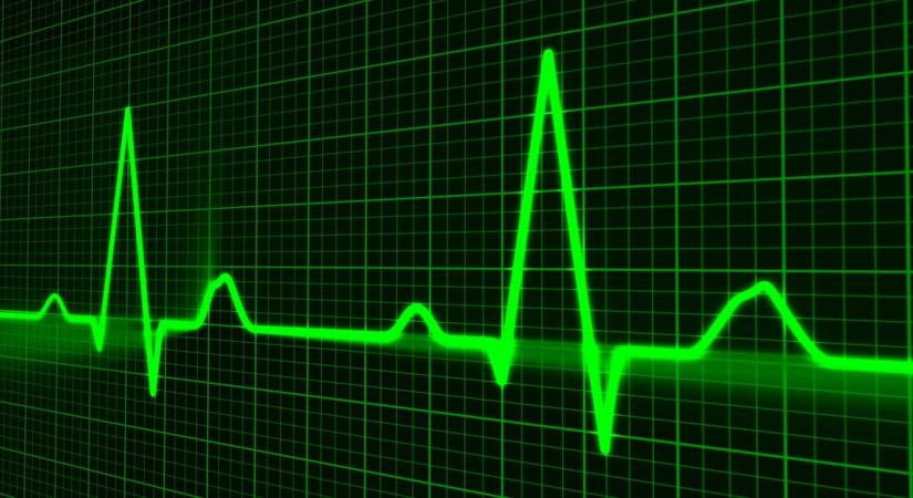 Parents, read this carefully. Children who experience trauma, abuse, neglect and family dysfunction are at increased risk of having heart disease in their 50s and 60s, warn researchers.