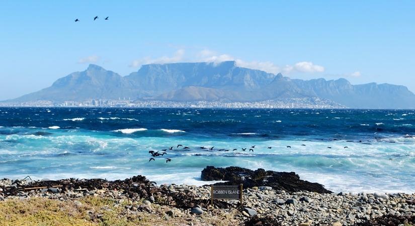Your guide to a virtual South Africa tour
